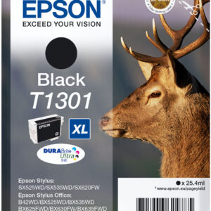 Epson T1301 Original Ink Cartridge, Black