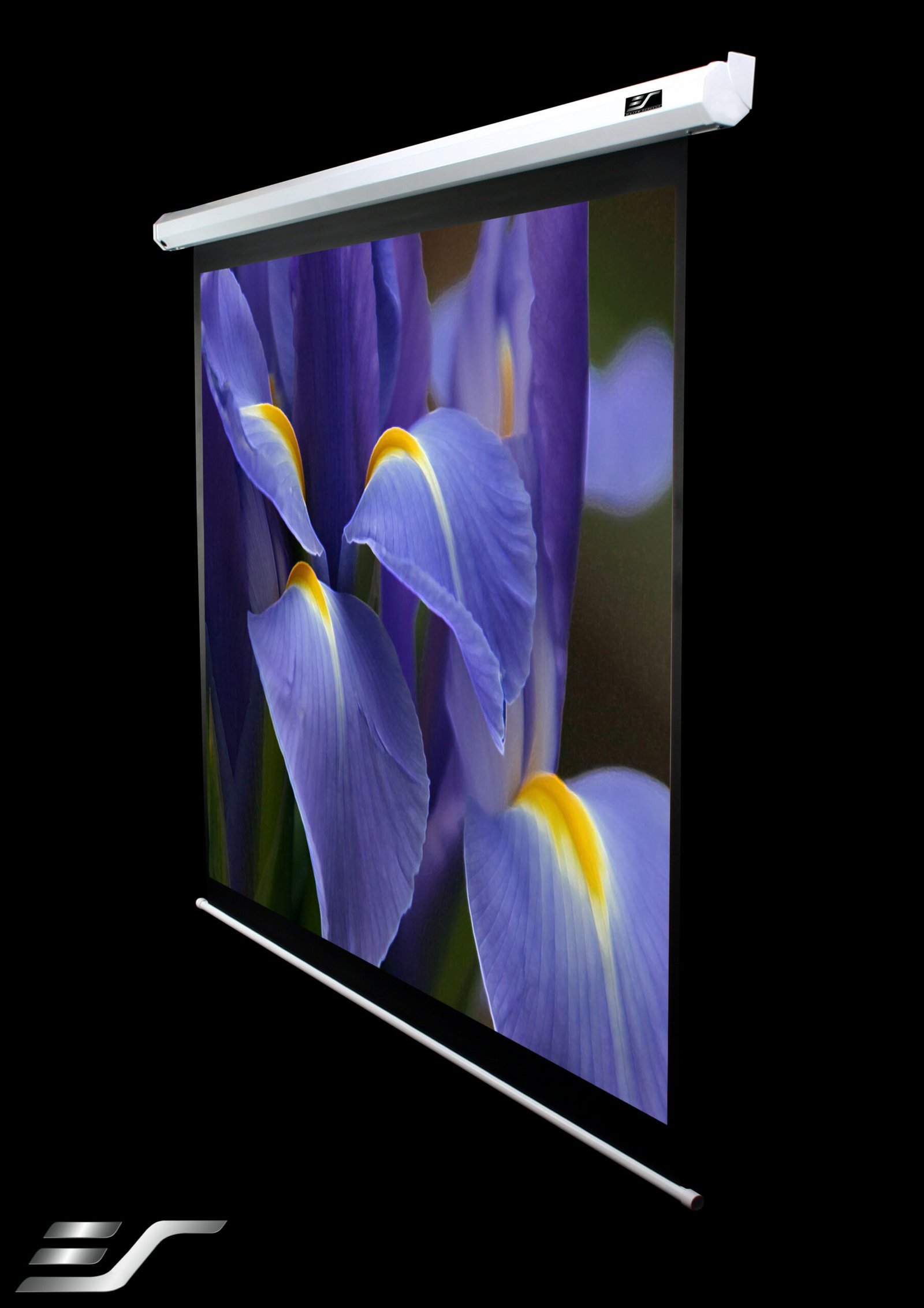 Elite Screens VMAX2 Series VMAX113XWS2 Diagonal 113 ", 1:1, Viewable screen width (W) 203 cm, White - Image 3