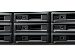 Synology RS3621RPxs Up to 12 HDD/SSD Hot-Swap, Xeon D-1531, Processor frequency 2.2...